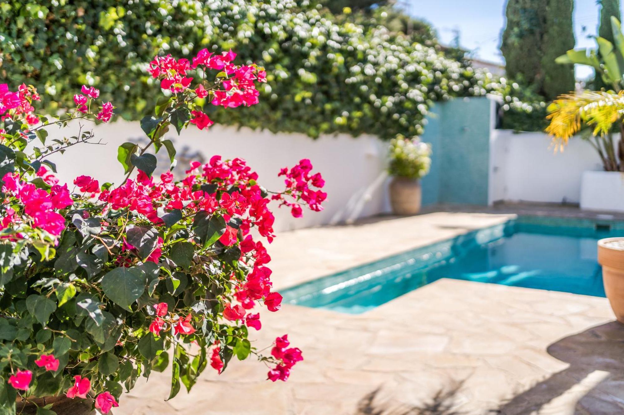 Casita Loulou Villa โมไรรา ภายนอก รูปภาพ